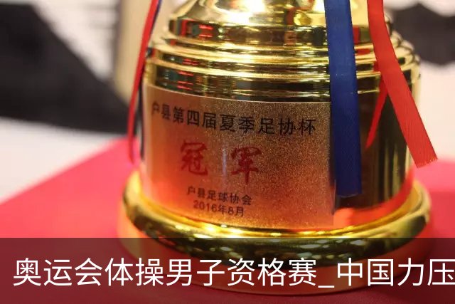 奥运会体操男子资格赛 中国力压日本排名第一晋级